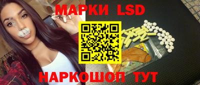 спиды Новозыбков