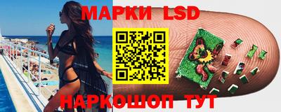 гидра Новодвинск