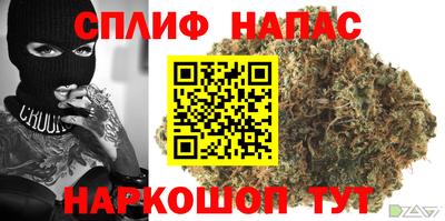 спиды Новозыбков