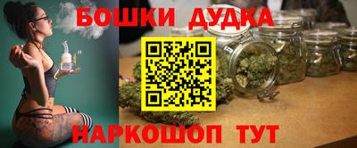 гидра Новодвинск