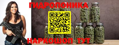 гидра Новодвинск