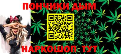гидра Новодвинск