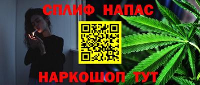 Альфа ПВП Новокубанск