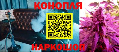 гидра Новодвинск