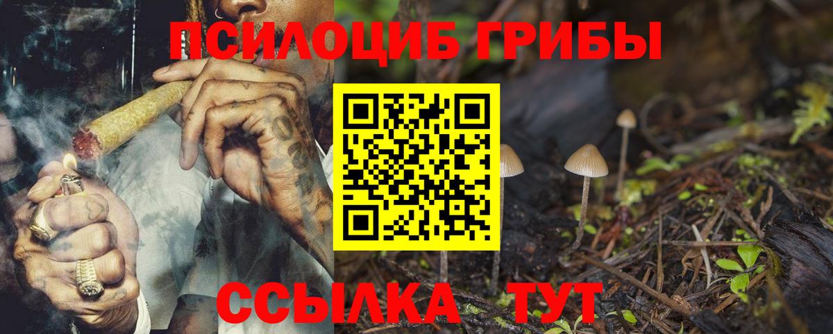 Россошь  Псилоцибиновые грибы Cubensis  продажа наркотиков  Вход с VPN 